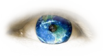 oeil